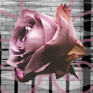 Style: pink-black-leather-lace-studs-edgy-antique